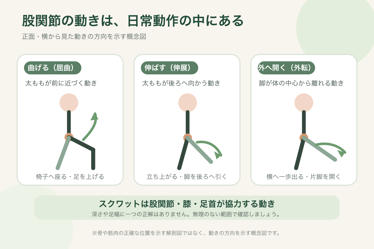 股関節を曲げる・伸ばす・外へ開く動きを日常動作で示した日本語の概念図