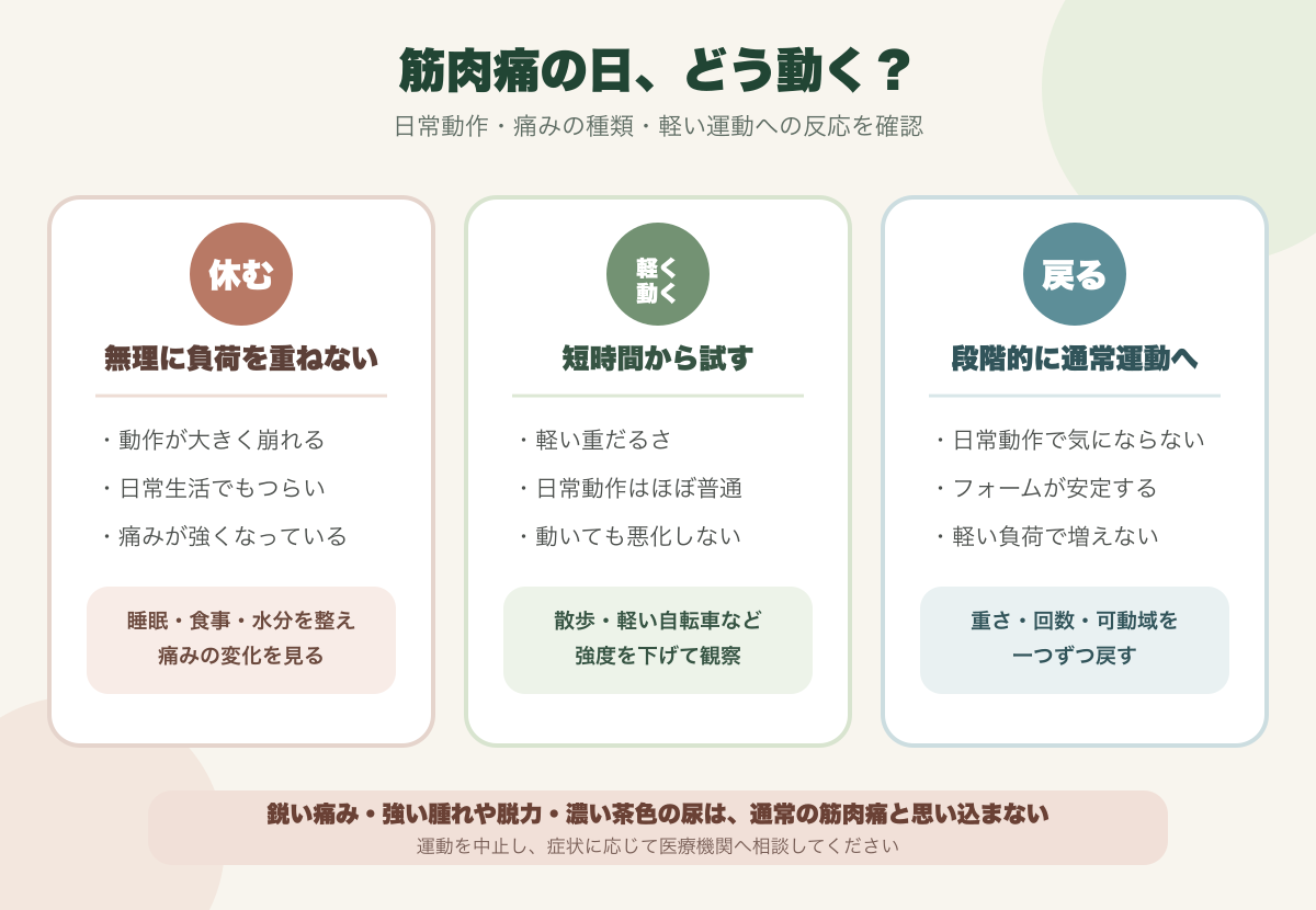 筋肉痛がある日に休む・軽く動く・通常運動へ戻る目安を示した日本語の判断図
