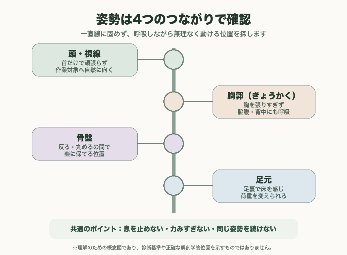 頭・胸郭・骨盤・足元の位置関係と呼吸を確認する日本語の姿勢チェック概念図